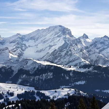 Diamant 39 By Interhome *