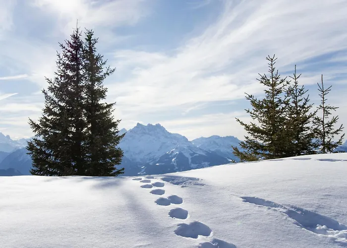 Apartament Diamant 39 By Interhome Villars-sur-Ollon